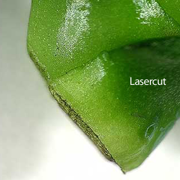 laser cut plant